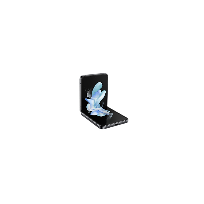 Image 2 ZFLIP 4 8GB_256GB Gray 8806094507270 HP03106 big