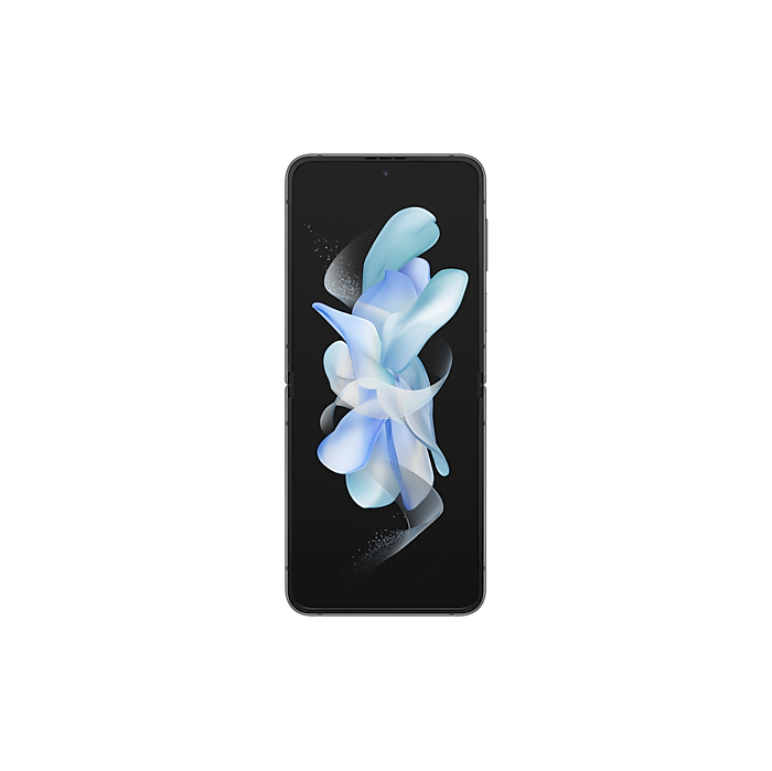 Image 3 ZFLIP 4 8GB_256GB Gray 8806094507270 HP03106 big