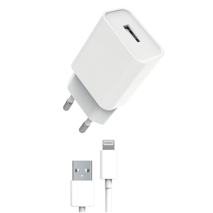 Bloc Chargeur Secteur USB pour iPhone et iPad 12W - Blanc: Puissant et  Pratique!