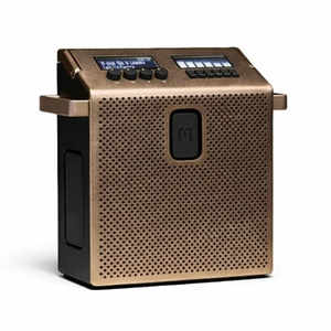 MONDO ENCEINTE BLUETOOTH MEDIUM AURACAST 60W CUIVRE